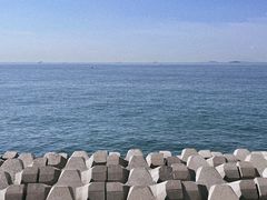 -青岛奥林匹克帆船中心