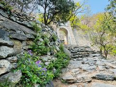 -北京鹫峰国家森林公园