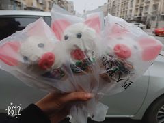 -野人先生现做冰淇淋(北京顺义祥云小镇店)