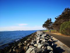 -香港东海海鲜酒家