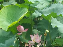 -韶山毛泽东同志故居