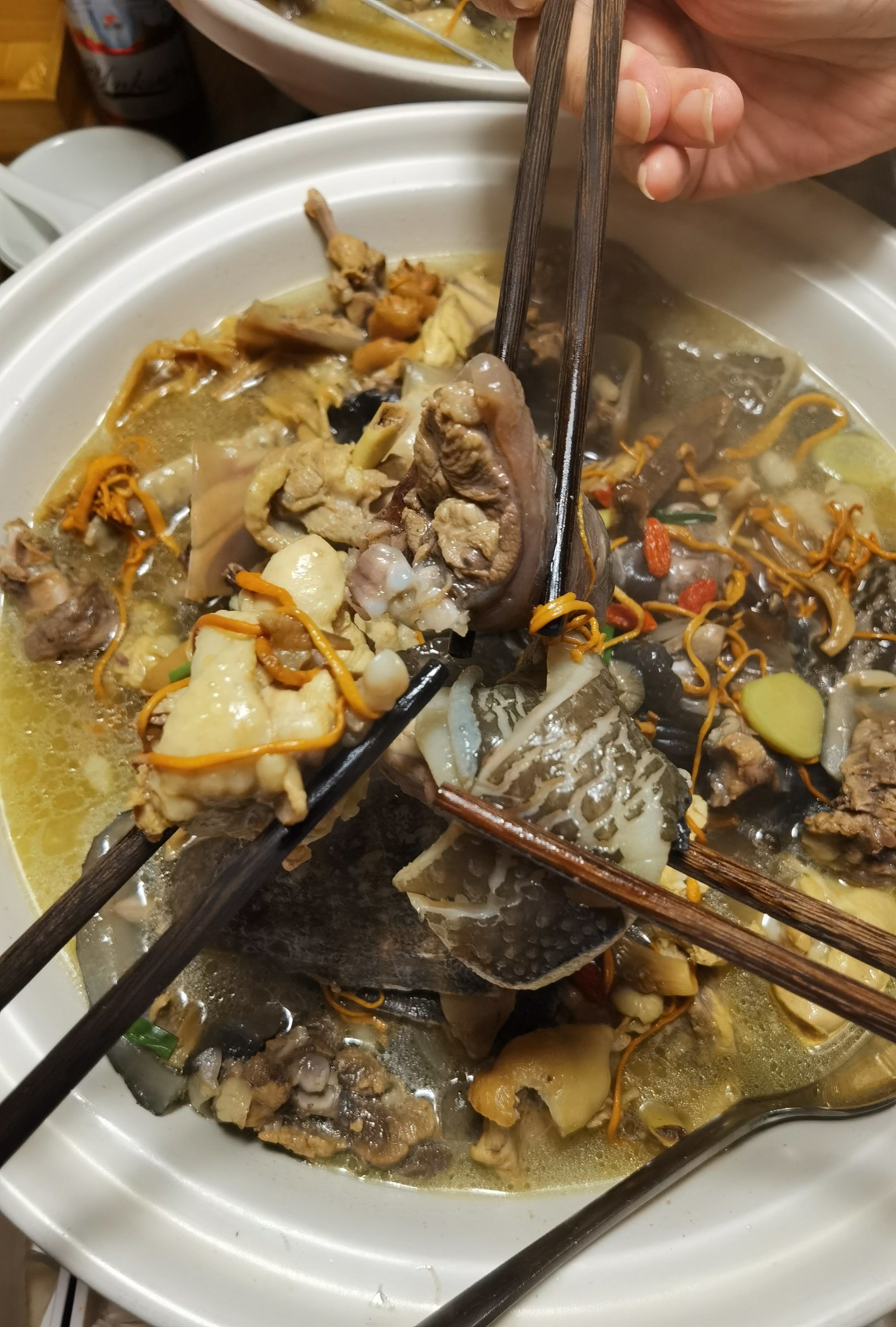 百吃不腻,吃了还想吃的甲鱼汤