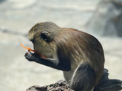 -南京汤山紫清湖生态旅游温泉度假区