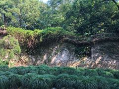-绮园景区