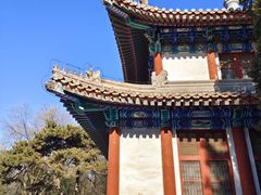 -北京大学赛克勒考古与艺术博物馆