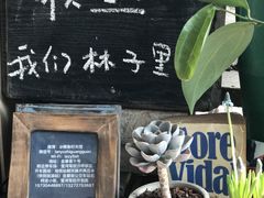 -懒鱼时光馆(沙坪坝店)