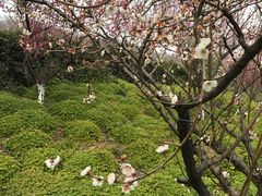 -南京市江宁方山