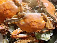 -大锅强·蒸海鲜青岛菜(吾悦广场店)