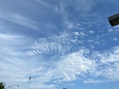 -0048鲜活香辣虾·火锅(铜陵路店)