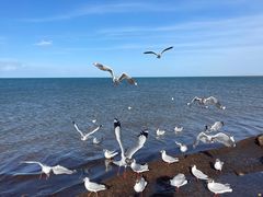 -青海湖国家重点风景名胜区