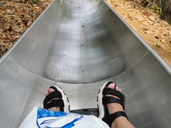 -富斯特索道