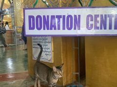 -ခြောက်ထပ်ကြီးရွှေသာလျောင်းဘုရားကြီး