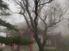-秦岭终南山世界地质公园翠华山景区