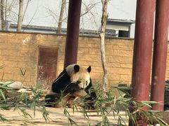 -杭州野生动物世界