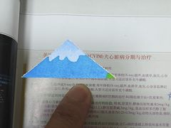 -瑞鹏宠物医院·爱宠堂·骨外专科(西荷分院)