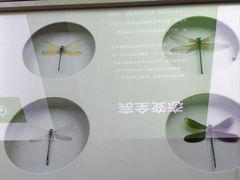 -昆明动物博物馆