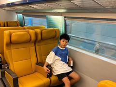 -龙阳路磁悬浮列车总站-停车场