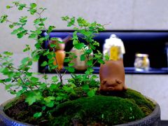 -王府茶宴(大观园总店)