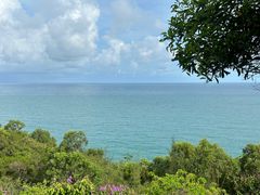 -广东惠东海龟国家级自然保护区