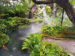 -Chom Cafe and Restaurant