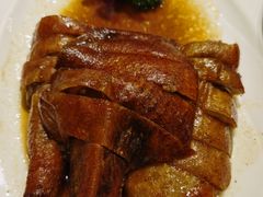 -中国饭店-餐厅