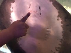 -苏州海洋馆