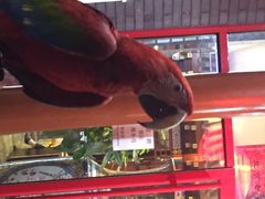 iphone_upload_pic-致美楼(前门店)