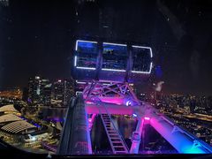 -新加坡摩天观景轮