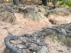 -火炉山森林公园