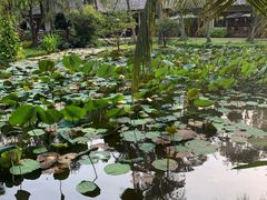 -Mekong Rest Stop