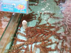 -渔民新村(番禺总店)