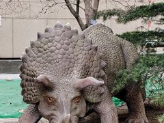 -国家自然博物馆