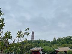 -顺峰山公园