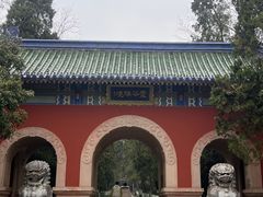 -灵谷景区
