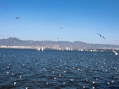 -海埂大坝