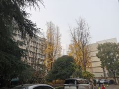 -湖南湘绣博物馆