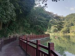 -广州白江湖森林公园