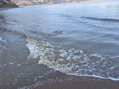 -北岐滩涂