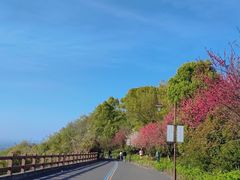 -杭州半山国家森林公园