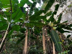 -苍山世界地质公园·石门关大峡谷