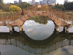 -五缘湾湿地公园
