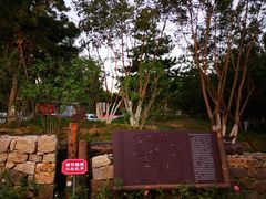 -回龙观体育文化公园