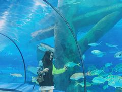 -福州罗源湾海洋世界旅游区