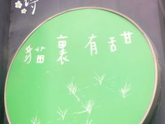 -猫里有甜