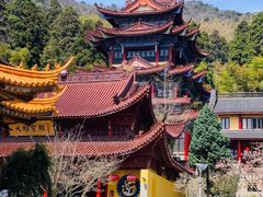 -东天目山风景区