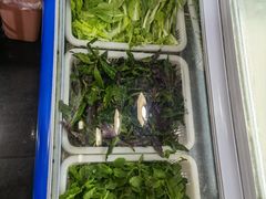 -黔府豆米火锅野菜馆(南马店)