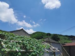-黄贤森林公园