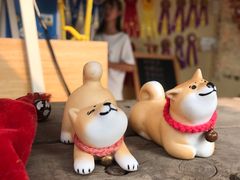 -柴犬高等学院·狗咖·柴犬售卖·宠物训练