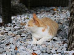 -iF摄影•全家福•证件照•形象照(南山店)