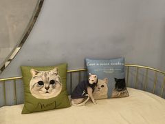 -BABIT巴比特宠物(MOMOPARK店)